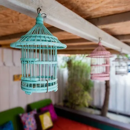 Zenith - La Maison Bed and Breakfast Lacanau