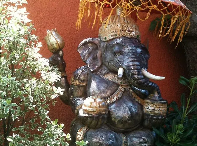 Bed and Breakfast Zenith - La Maison *