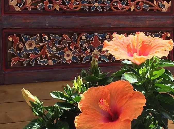 Zenith - La Maison Bed and Breakfast Lacanau