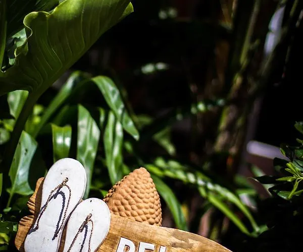 Bed and Breakfast Zenith - La Maison *