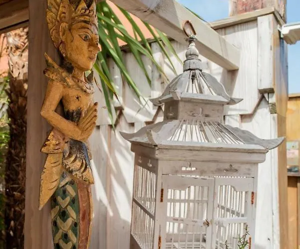 Zenith - La Maison Bed and Breakfast Lacanau