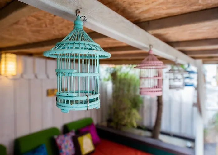 Zenith - La Maison Bed and Breakfast Lacanau