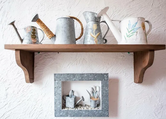 Zenith - La Maison Lacanau