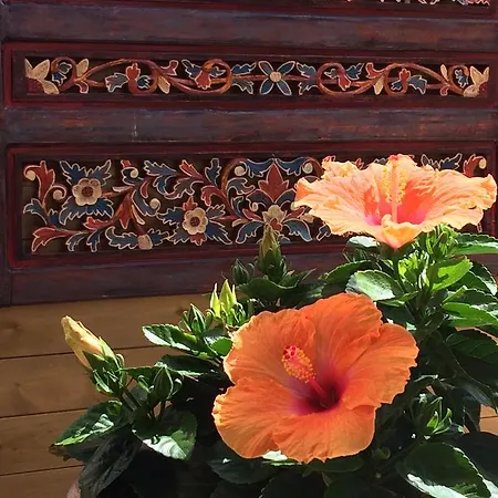 Zenith - La Maison Bed & Breakfast Lacanau