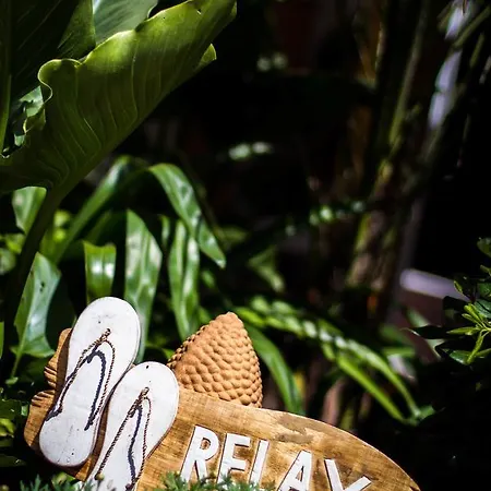 Couette-café Zenith - La Maison *