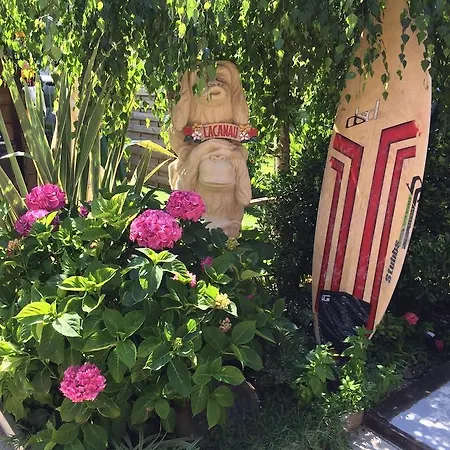 Zenith - La Maison Couette-café *