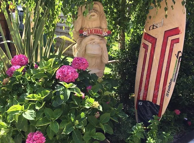 Zenith - La Maison Bed and breakfast *